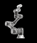 国牌全体份额持续提拔