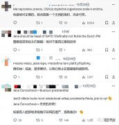 质上其实都算是一类同化的“皈依者狂热